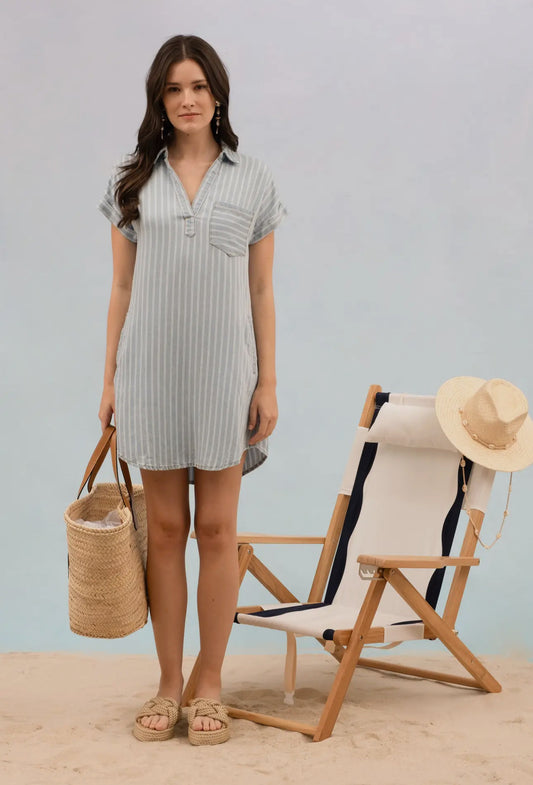 Chambray Dress
